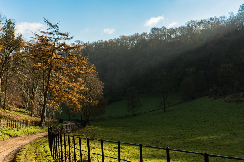 cotswolds, gloucestershire, landscape, day, national trust - woodchester park, tranquil scene, fence, nature, outdoors, field, united kingdom, cloud - sky