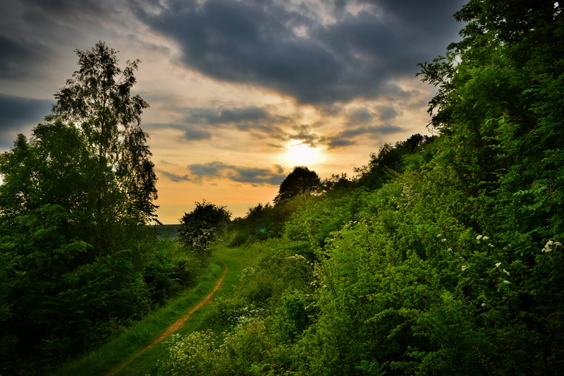 cloud - sky, cotswolds, beauty in nature, land, tree, country, no people, green, tranquility, scenics - nature, nature, outdoors, non-urban scene, tranquil scene
