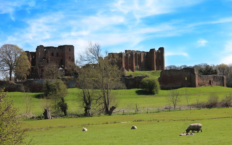 group of animals, warwickshire, ruined, domestic, country side, building, ramparts, grazing, vertebrate, 5K, tourism, grass, sheep, wall, no people, cloud - sky