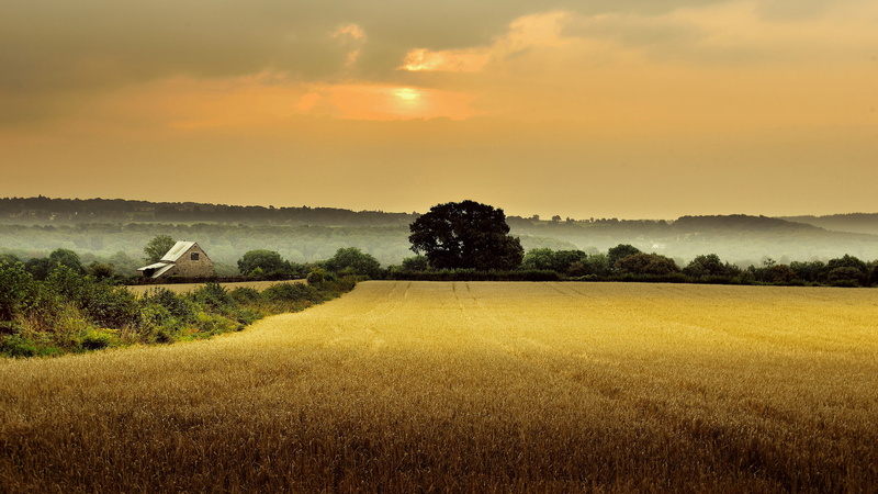 gloucestershire, field, 1080P, england