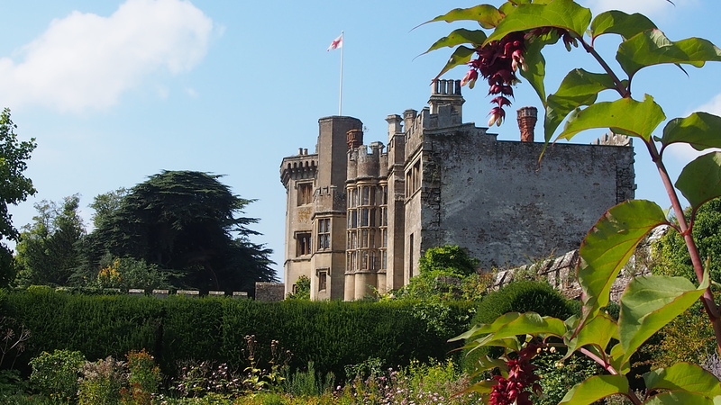 bristol, day, leaf, built structure, green color, office building exterior, outdoors, plant, tree, the past, thornbury castle, skyscraper, building, no people