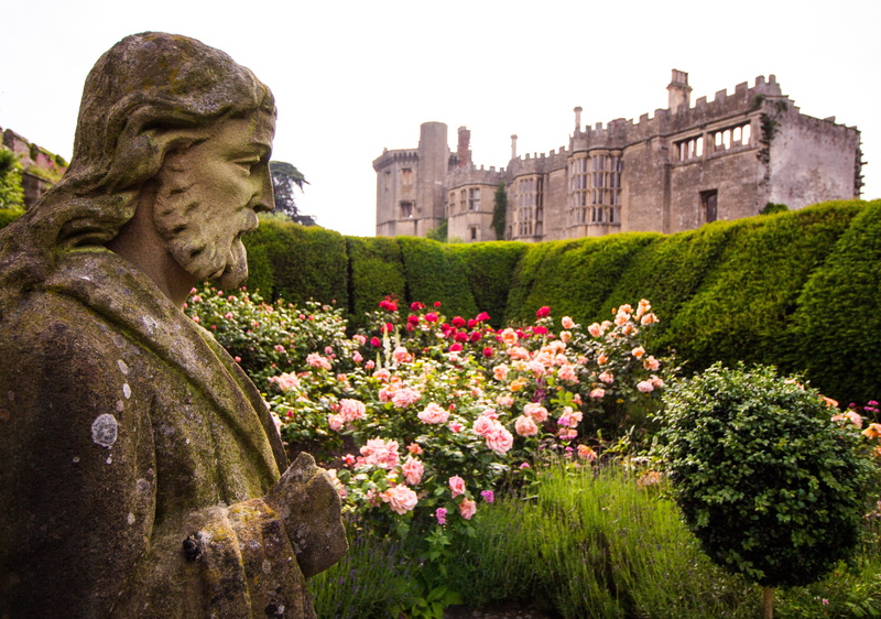 built structure, rose garden, ancient, Thornbury Castle, britain, the past, uk, outdoors, building, no people, sculpture, flower, adult, building exterior