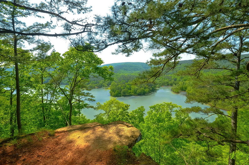 summer, USA, Lake, forest, Arkansas, trees, lot, sky, nature, mountains, 1080P
