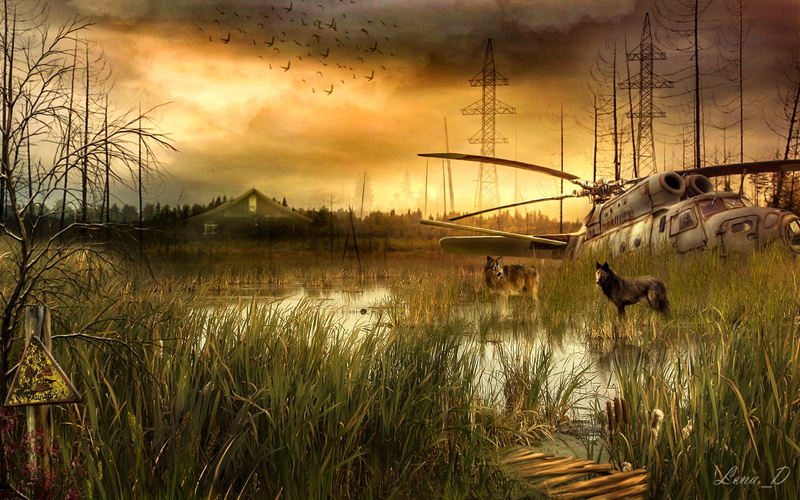 Wolves, Sign of radiation, Power lines, Helicopter, Swamp, 1080P, STALKER