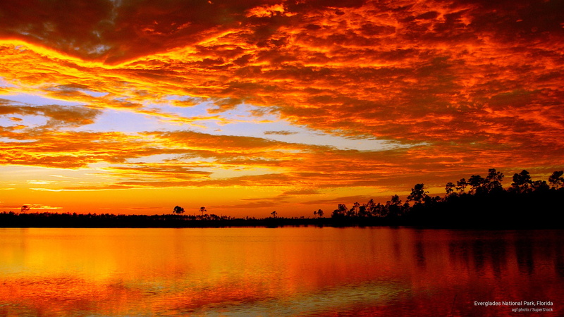 everglades, 2K, park, National Parks, florida, national