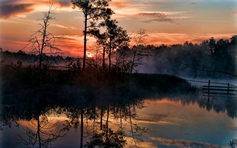 tranquility, nature, lake, orange color, water, no people, trees, cloud - sky, pollution, painting, 720P, beauty in nature, scenics - nature, plant, tree