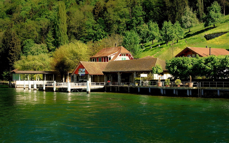 Houses, Pier, 1080P, Switzerland, Trees, Lucerne, Burgenstock, Slope, Lake