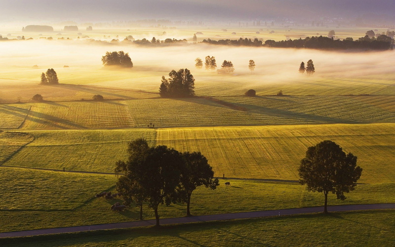 cloud - sky, land, beauty in nature, digimon, rural scene, 1920x1200 px, Field, Trees, MIST, environment, road, x, idyllic, anime, agriculture, growth