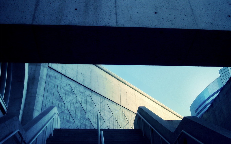 hd, px, dogs, stairs, 1080P, 1920x1200 px, City, architecture, art, concrete, x, animals