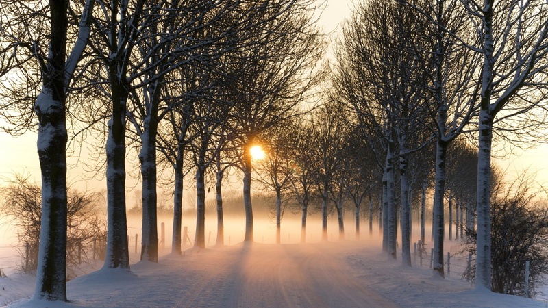 sunset, pathway, trees, 4K, road, winter