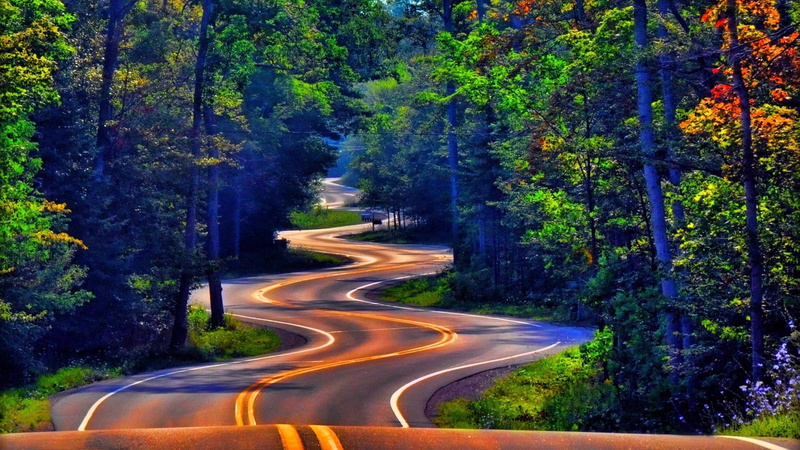 trees, road, nature, 1080P, landscape, street, grass, colorful, forest, Wisconsin, leaves
