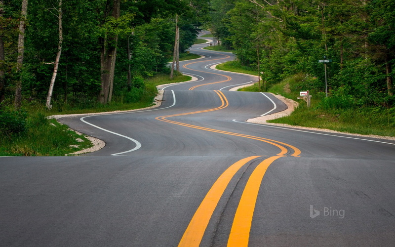 dole, the way forward, green color, byway, winding road, coastal, empty road, sign, tree, nature, bing, symbol, 1080P, double yellow line, plant, no people