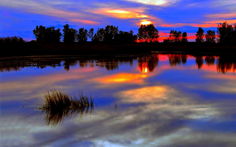 sunset, natur, bright, scene, 1080P, twilight, quiet, blue, trees, river, reflection, the evening, clouds