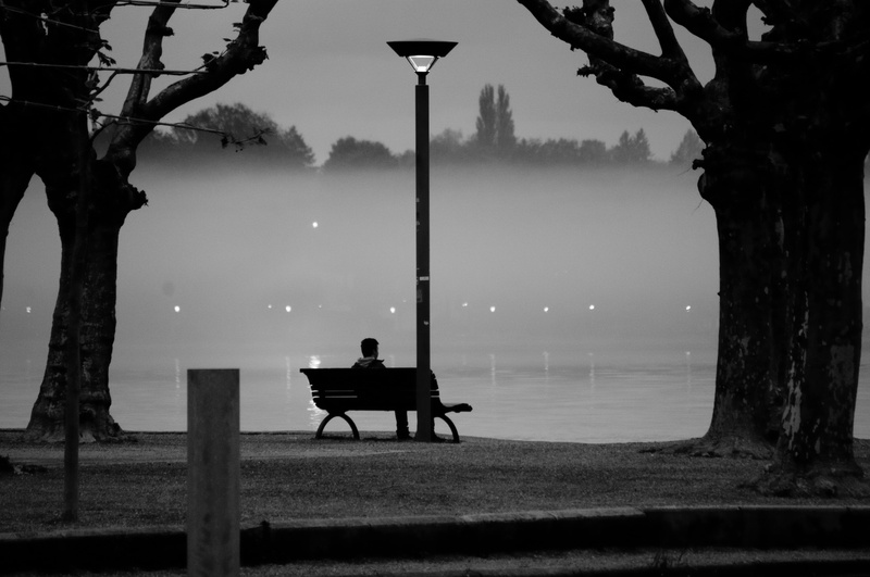 human, bench, men, one man only, adult, real people, tree, plant, relaxation, person, water, quiet, adults only, fog, abendstimmung, near, seat, atmosphere