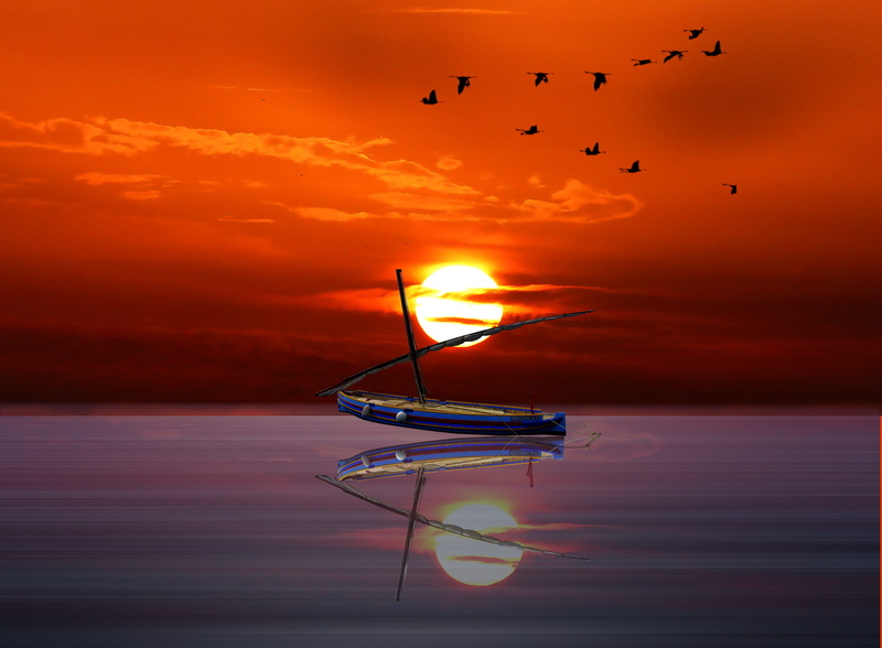 idyllic, orange color, vertebrate, reflection, evening, summer, flock of birds, layer of the sun, tranquil scene, quiet, flying, 2K, nature, no people