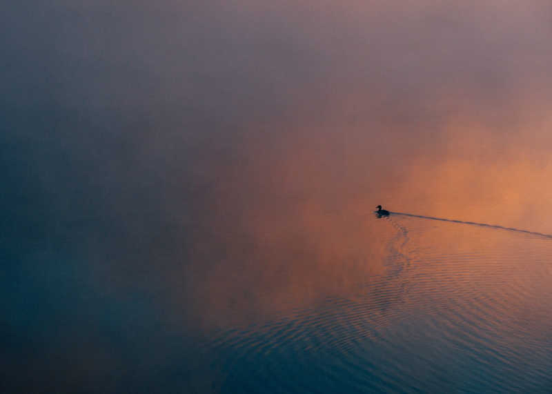 tranquil scene, nautical vessel, beauty in nature, outdoors, bird, nature, animal themes, sky, evening, cloud - sky, quiet, calm, water, silhouette, tranquility