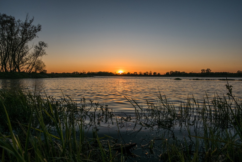 river, calm, scenery, non-urban scene, growth, lakescape, silhouette, bank, landscape, beauty in nature, tree, shoreline, outdoor, tranquility, sky, plant