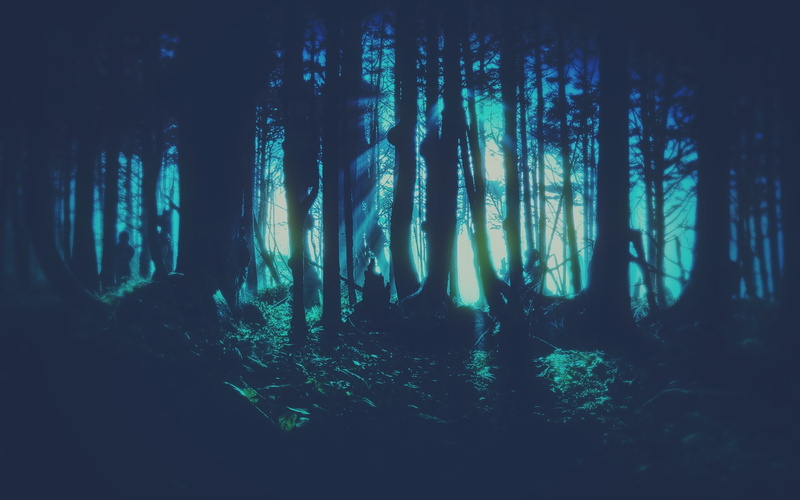  non-urban scene, day, no people, forest, beauty in nature, environment, trunk, artwork, land, 1080P, tranquility, cyan, remote, plant, idyllic