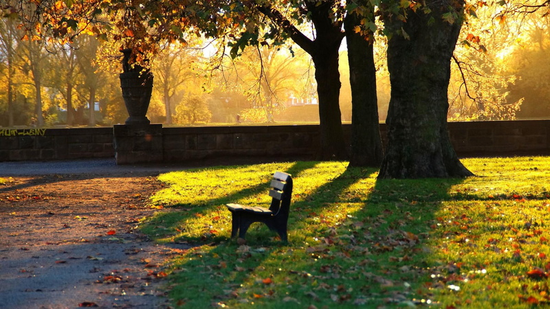 scenery, park, grass, 1080P, leaves, park benches, fall, evening, benches, quiet