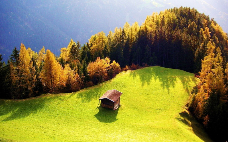fall, 720P, landscape, forest, cottage, trees