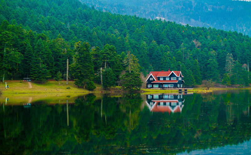 building, waterfront, water, outdoors, no people, day, green color, Europe, plant, reflection, built structure, tranquility, tree, Turkey, abant, lake