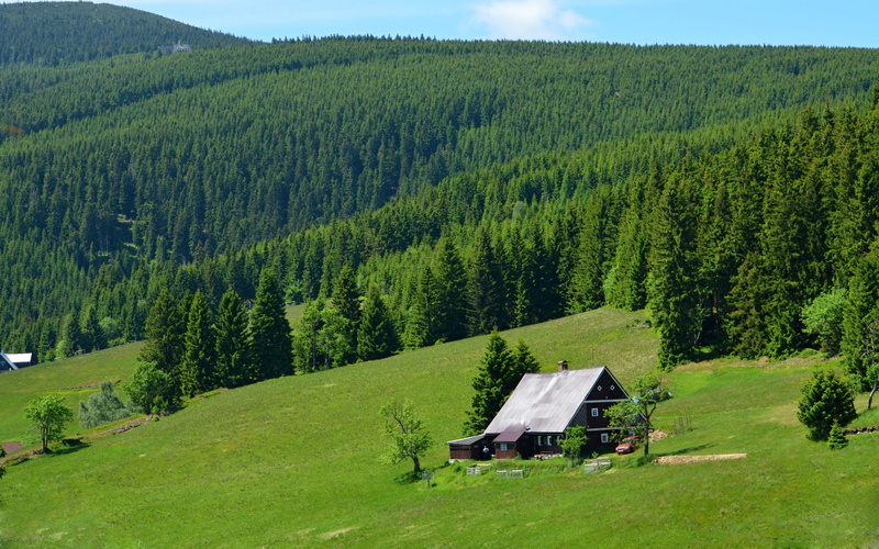 tranquil scene, idyllic, green color, field, landscape, grass, plant, growth, outdoors, land, tree, beauty in nature, trees, day, forest, house, nature