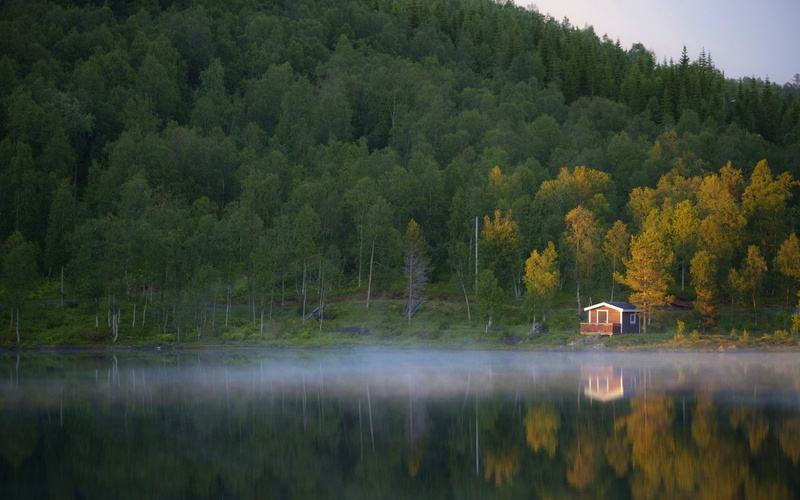 reflection, mist, outdoors, cottage, no people, plant, tranquil scene, landscape, forest, water, trees, nature, architecture, fall, green color, autumn