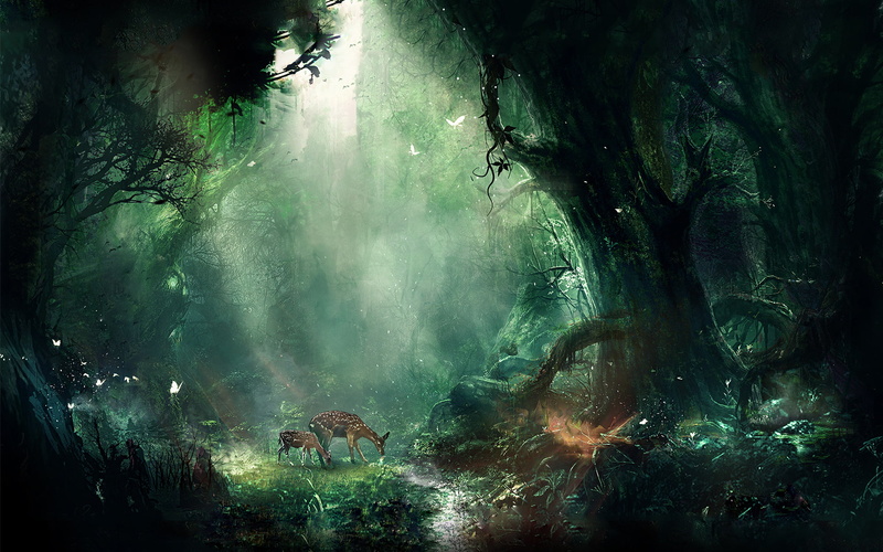 jungle, creative and graphics, graphics, 1080P, bambi, hd, creative
