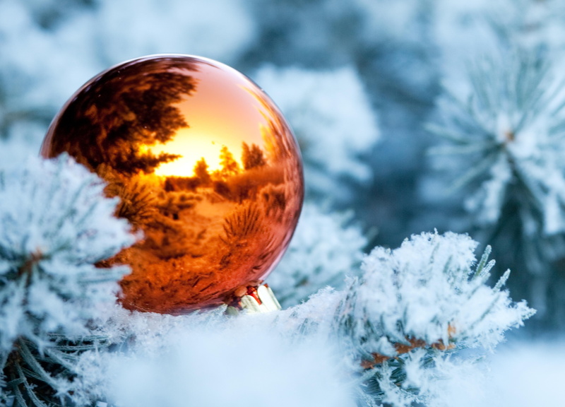 5K, winter, year, ball, christmas, spruce, snow, decorations, new year, reflection, new, tree, christmas decorations, branches