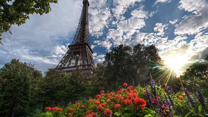 sky, travel, plant, capital, growth, ancient, spire, clouds, place, low angle view, paris, suspension bridge, building, tower, sun, tree, cathedral, stone