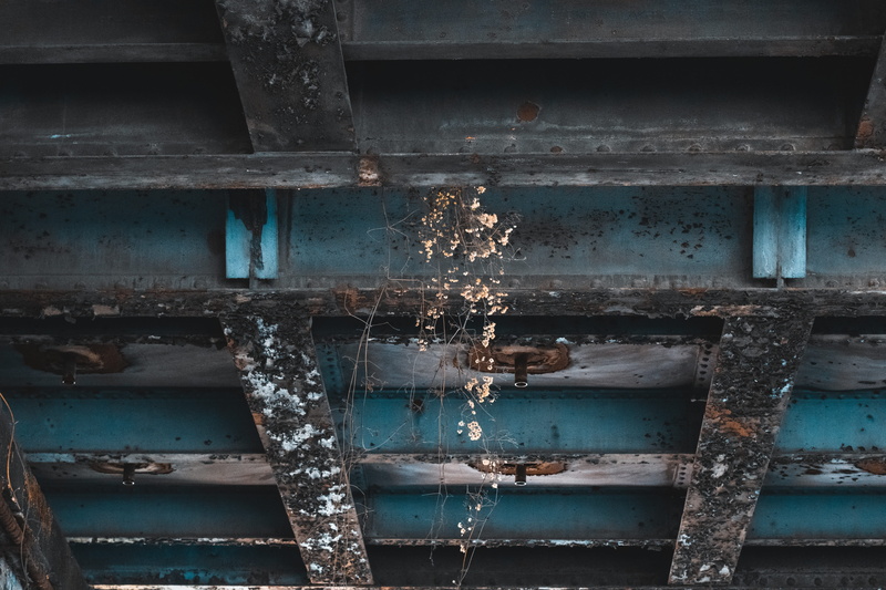 close-up, life, banister, bad condition, light, metal, 5K, no people, damaged, run-down, clothing, apparel, flower, berlin, obsolete, wood, window, backgrounds