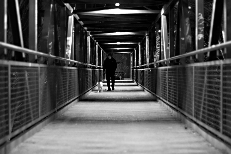 white, walking, pets, only, built structure, men, indoors, one person, lines, rear view, lights, people, ceiling, faithful, the way forward, guy, photo