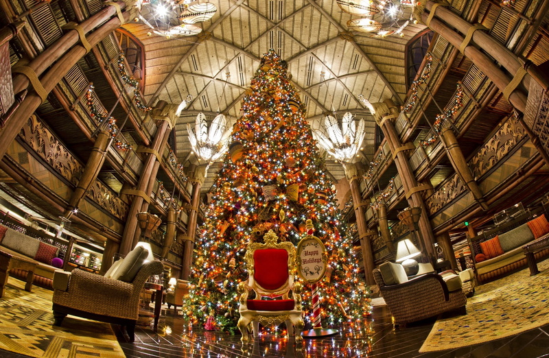 place of worship, religion, illuminated, indoors, lighting equipment, no people, building, Disney, built structure, spirituality, tree, Christmas, kingdom