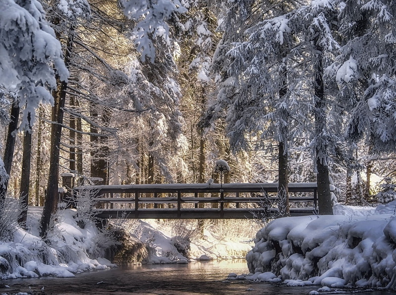 trees, 720P, photography, Austria, river, snow, landscape, bridge, sunlight, nature, cold, winter