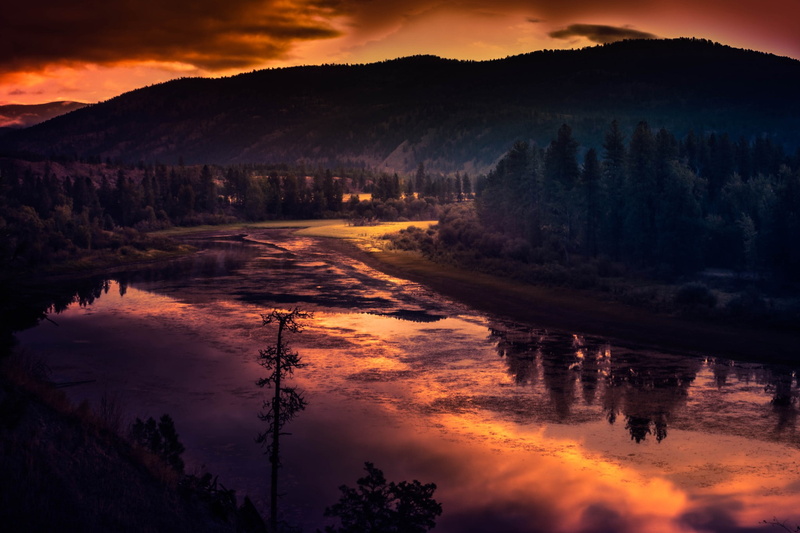 cloud - sky, dramatic sky, tree, dusk, forest, HDR, mountain, silhouette, sky, beauty in nature, spruce, sunset, tranquility, scenics - nature, photography