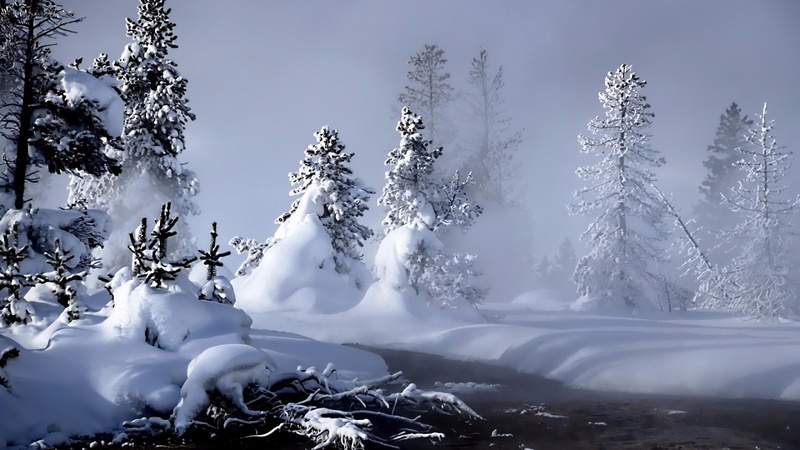 damp, snowy, fir, 4K, river, tree, snow, nature, water, evaporation, pine, spruce, mist, misty, freezing, winter, steam, forest