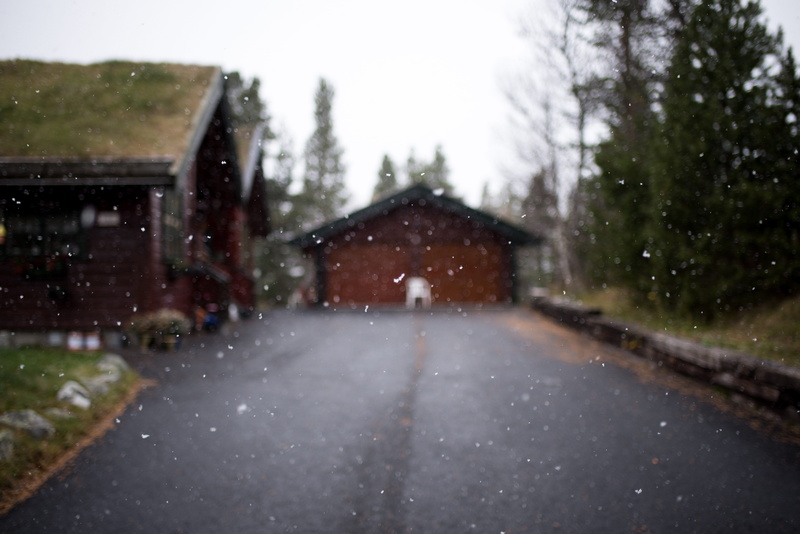 the way forward, raindrop, rain, photo, woodland, no people, window, grass, forest, shed, bäume, 5K, forrest, outdoors, snow, tree, day, road, winter