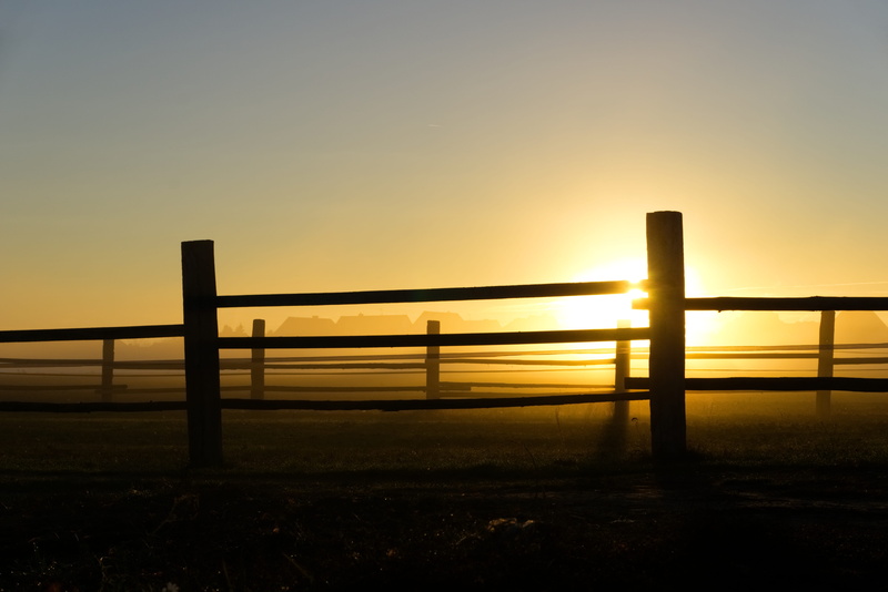 copy space, nature, atmospheric, sunset, batten, wood, sky, outdoors, orange color, morgenstimmung, connection, fence, no people, rural, landscape, silhouette