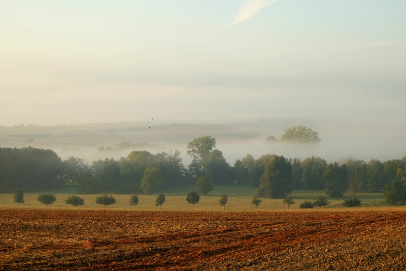 outdoors, trees, morgenstimmung, scenics - nature, infinite, of course, arable, autumn, wide, idyllic, sunrise, tranquility, landscape, in the, morning