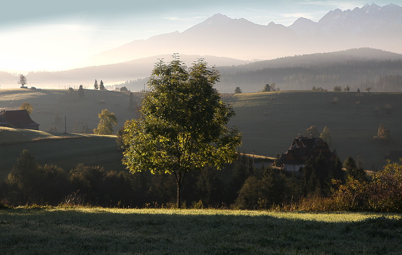 the fog, mountain range, morning, hill, podhale, sunrise - dawn, fog, the beginning of the day, mist, plant, the purity of the, landscape, field, dawn