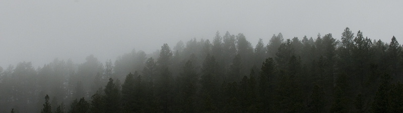 multiple display, sky, fir Tree, no People, non-Urban Scene, mountain, mist, forest, spruce Tree, outdoors, wilderness Area, silhouette, pine Tree, 4K