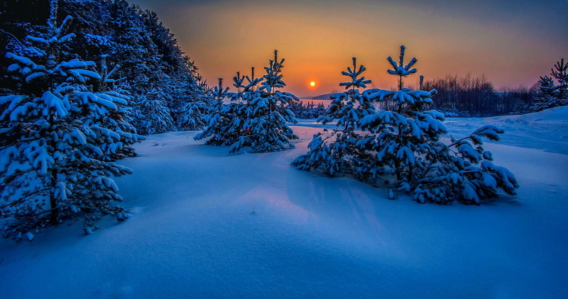 Russia, ice, coniferous tree, cold temperature, woodland, snowcapped mountain, tranquil scene, winter, snow, 1080P, land, white, forest, no people, environment