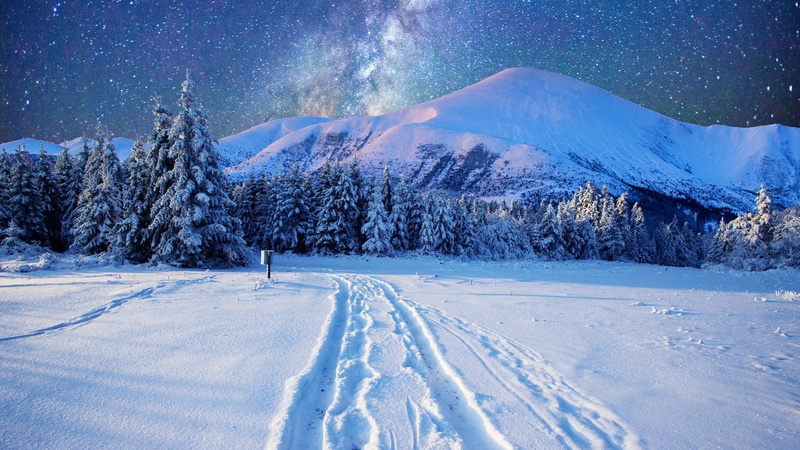 winter night, environment, snowcapped mountain, pine forest, pine tree, coniferous tree, stars, snow, winter, snowy, scenics - nature, piste, milky way