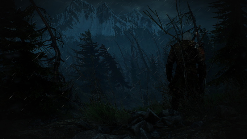 land, tranquility, floral, outdoors, forest, silhouette, non-urban scene, woodland, black, 2K, Skellige, The Witcher 3: Wild Hunt, plant, mystery, white