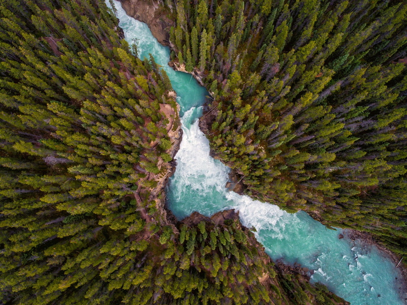 forest, landscape, river, view, photography, pine, lake, trees, water, 1080P, aerial, nature
