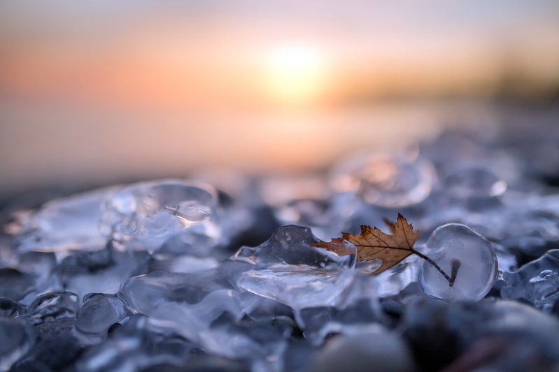 tranquility, surface level, cold temperature, land, pebble, beauty in nature, nature, solid, frozen, backgrounds, macro, selective focus, outdoors, ice
