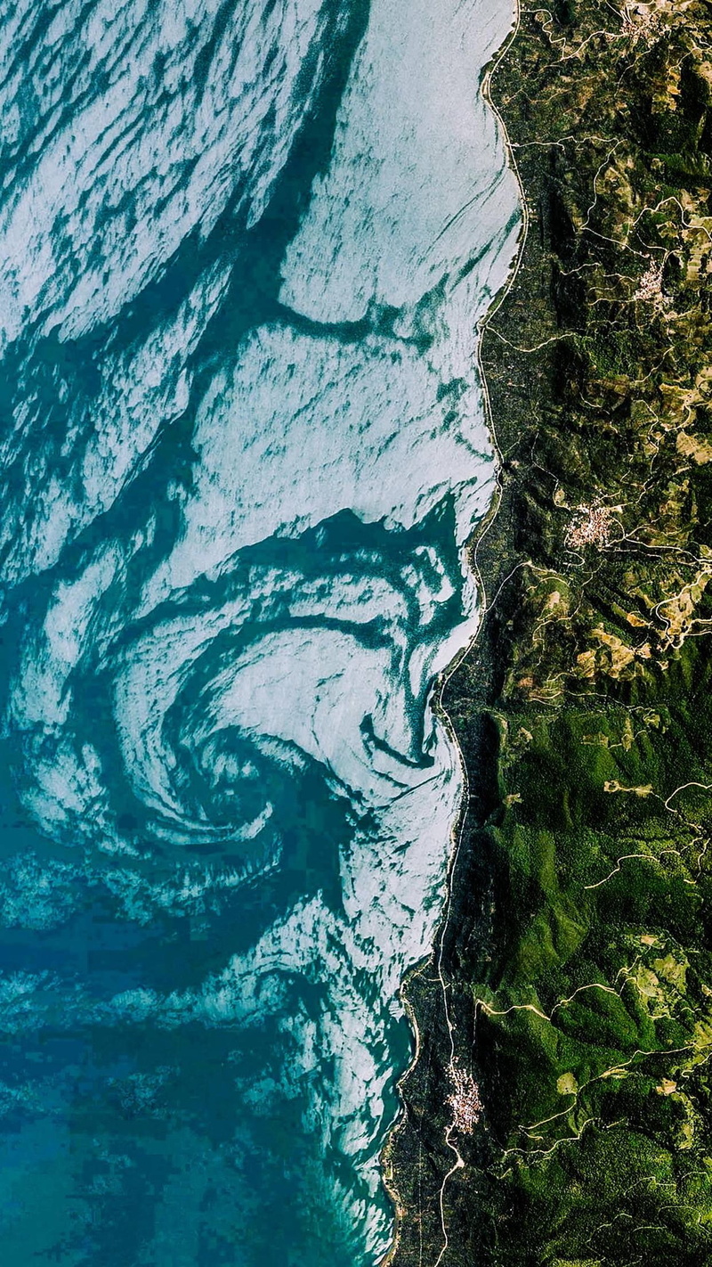 1080P, environment, high angle view, day, growth, green color, tree, outdoors, vertical, sea, plant, tranquil scene, beach, full frame, water, aerial view
