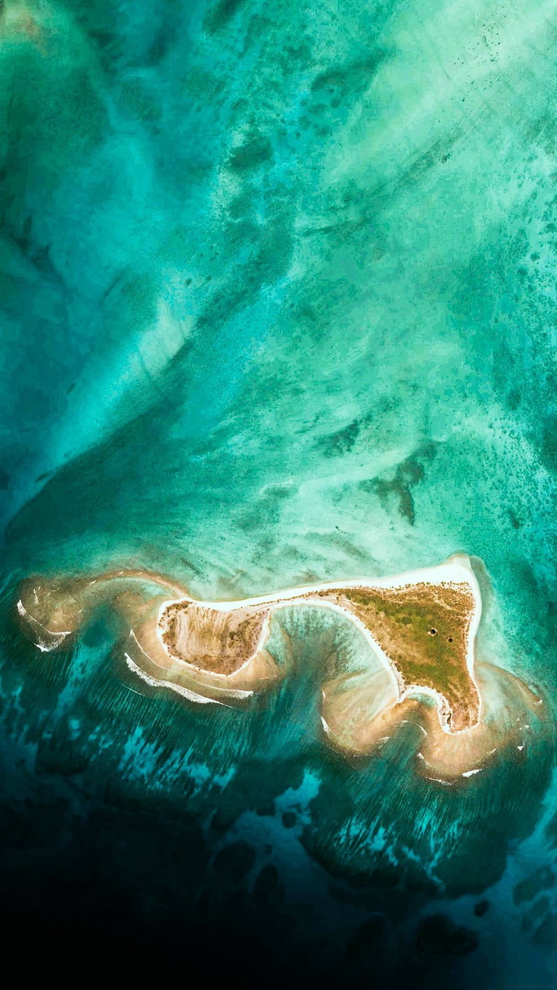 vertical, undersea, 1080P, no people, animal wildlife, swimming, nature, outdoors, underwater, animal themes, environment, aerial view, beauty in nature