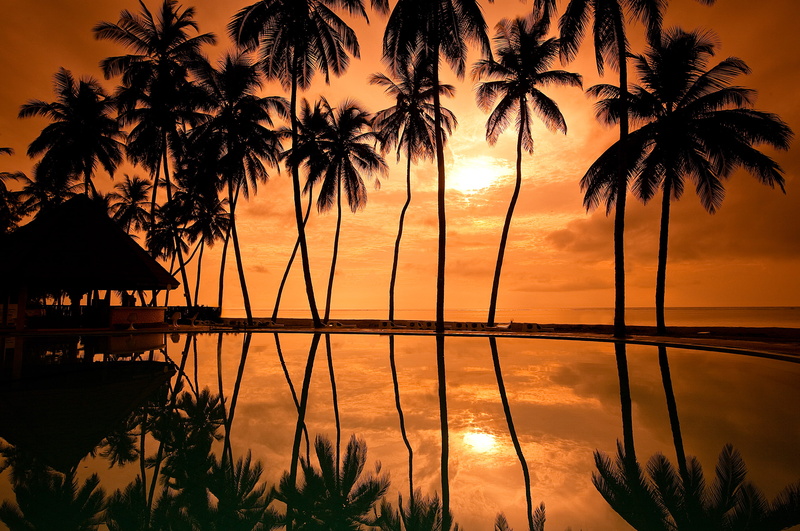 Palm tress, 2K, Sunset, Coast, Resort