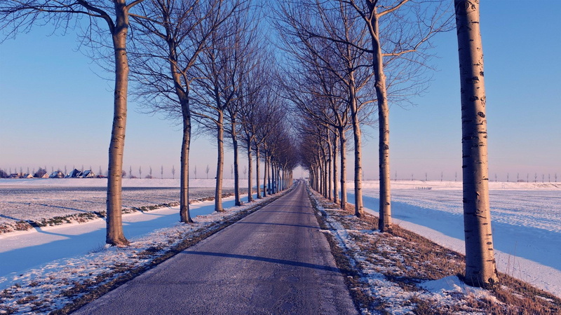 road, winter, beautiful, 3d and abstract, tress, 1080P, wintery, lined, town